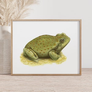 May include: A green toad with brown spots sits on a yellow background. The toad has a large, round body and a small head. It has large, black eyes and a wide mouth.