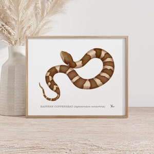 Copperhead Snake Art Print - Herpetology Decor for Snake Enthusiasts, Reptile Art, Snake Painting, Snake Wall Decor, Watercolor Snake