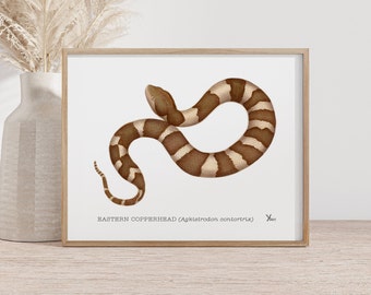 Copperhead Snake Art Print - Herpetology Decor for Snake Enthusiasts, Reptile Art, Snake Painting, Snake Wall Decor, Watercolor Snake