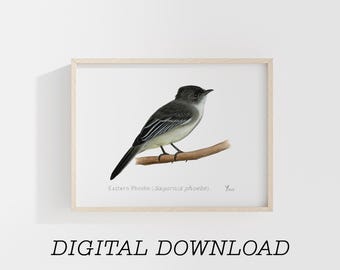 フィービー・ケイツ 直筆サイン入り 8 x 10 写真 COA - Etsy 日本