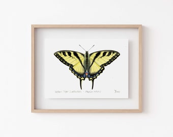 Charming Butterfly Wall Art Print - Western Tiger Swallowtail, Entomology Inspiration, Gardening Lover's Gift