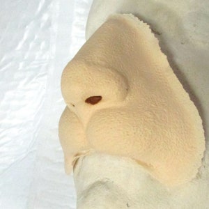 Lion King Cat Nose Foam Latex Prosthetic or Slip Latex Makeup