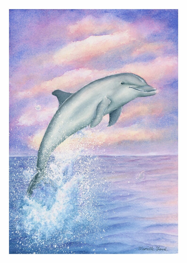 A4 Size Dolphin Art Print Archival Quality Watercolour - Etsy