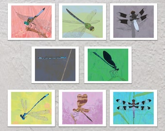 Blank Note Card Set, Damselflies & Dragonflies Art