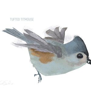 May include: An illustration of a Tufted Titmouse bird in flight. The bird has a blue-grey crest, wings, and tail, with a tan and white body. The text "Tufted Titmouse" is above the bird.