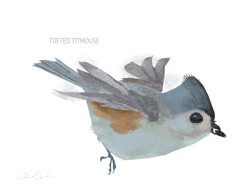 May include: An illustration of a Tufted Titmouse bird in flight. The bird has a blue-grey crest, wings, and tail, with a tan and white body. The text "Tufted Titmouse" is above the bird.
