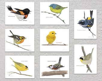 Blank Note Card Set, Warblers