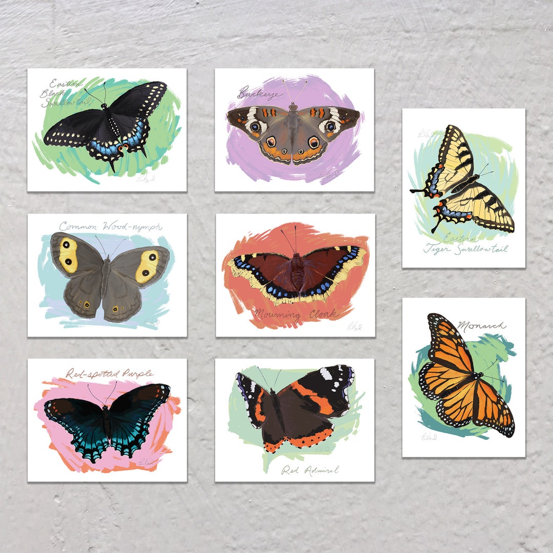 Blank Note Card Set, Butterflies - Etsy