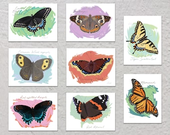 Blank Note Card Set, Butterflies