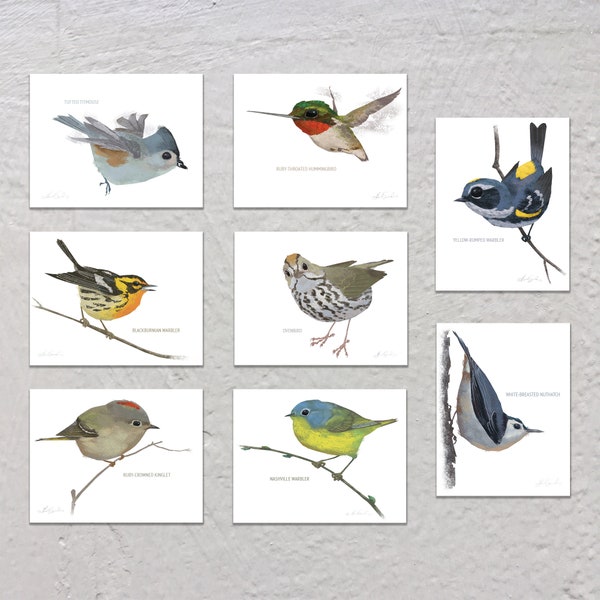 Blank Note Card Set, Backyard Birds Collection #1