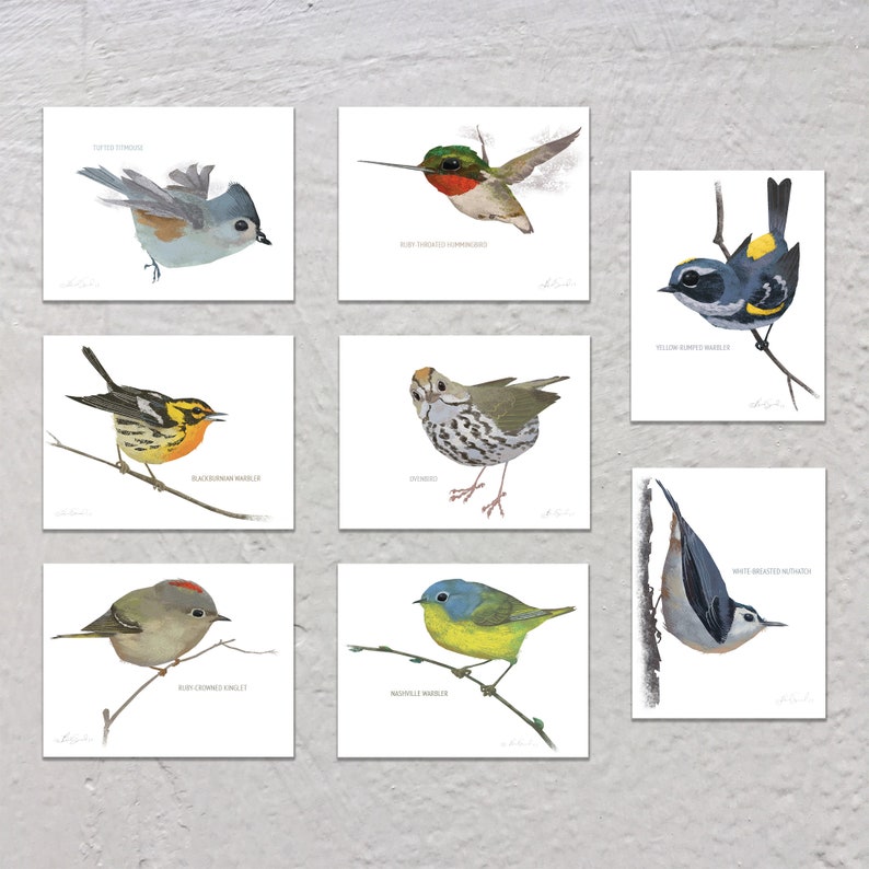 May include: Nine square art prints featuring watercolor illustrations of various North American birds, including a hummingbird, warblers, and a titmouse. Each bird is perched on a branch against a white background. The prints are in a grid arrangement.