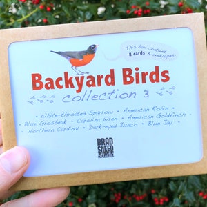 Blank Note Card Set, Backyard Birds, Collection 3 image 10