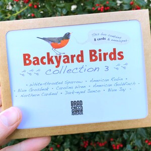 May include: A boxed set of Backyard Birds Collection 3 cards and envelopes. The design features a red and orange American Robin illustration and the text "Backyard Birds Collection 3". Includes 8 cards and envelopes.