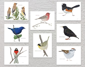 Blank Note Card Set, Backyard Birds, Collection #4