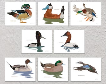 Blank Note Card Set, Ducks