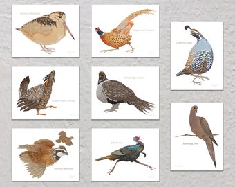 Blank Note Card Set, Upland Game Birds