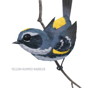 May include: Illustration of a Yellow-Rumped Warbler perched on a branch. The bird features blue, yellow, and white plumage, with a dark eye and beak. The text "YELLOW-RUMPED WARBLER" is below the bird. The artwork is set against a white background.