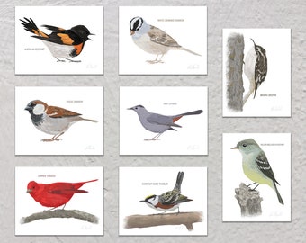 Blank Note Card Set, Backyard Birds, Collection #5