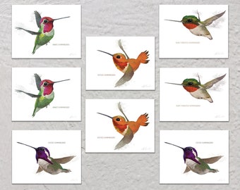 Blank Note Card Set, Hummingbirds