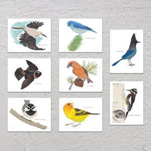 Blank Note Card Set, Mountain Birds