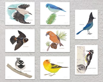 Blank Note Card Set, Mountain Birds