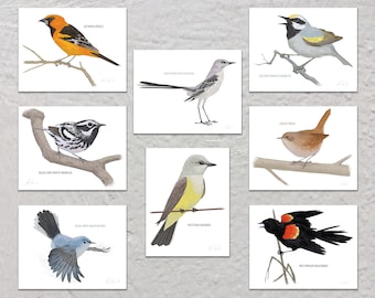 Blank Note Card Set, Backyard Birds, Collection #6