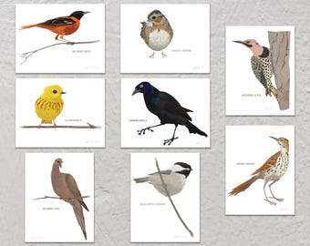 Blank Note Card Set, Backyard Birds, Collection #2