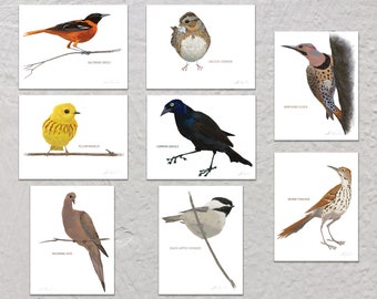 Blank Note Card Set, Backyard Birds, Collection #2