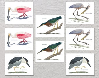 Blank Note Card Set, Wading Birds