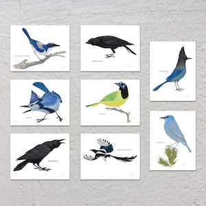 Blank Note Card Set, Corvids image 1