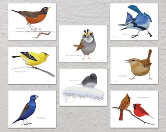 Blank Note Card Set, Backyard Birds, Collection #3