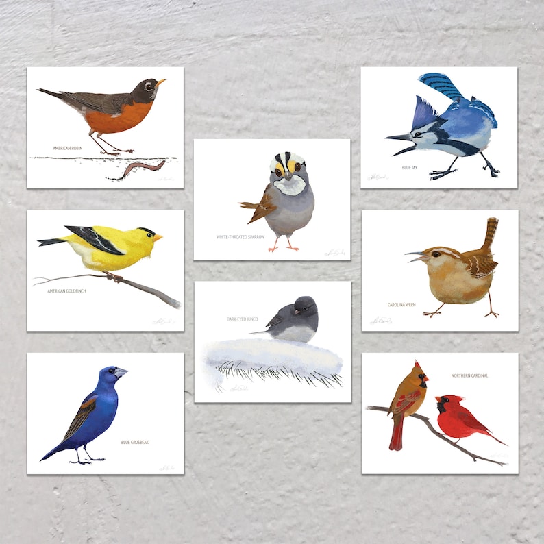 Blank Note Card Set, Backyard Birds, Collection 3 image 1