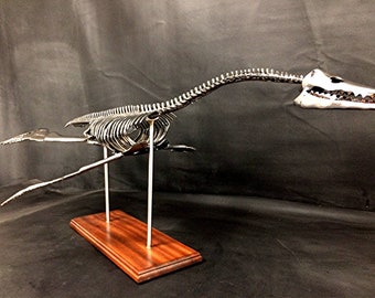 Handmade welded Plesiosaurus skeleton (Lock Ness Monster)