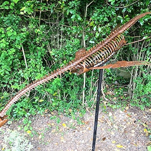 Scheletro Plesiosauro 2m Scultura in Acciaio