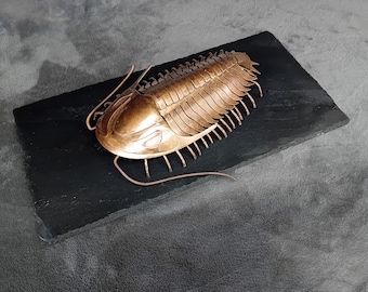 Handmade welded Trilobite Sculpture