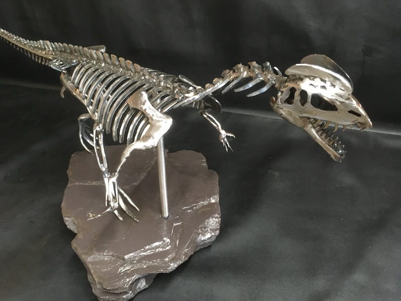 Handmade Welded Dilophosaurus Dinosaur Skeleton Sculpture Etsy