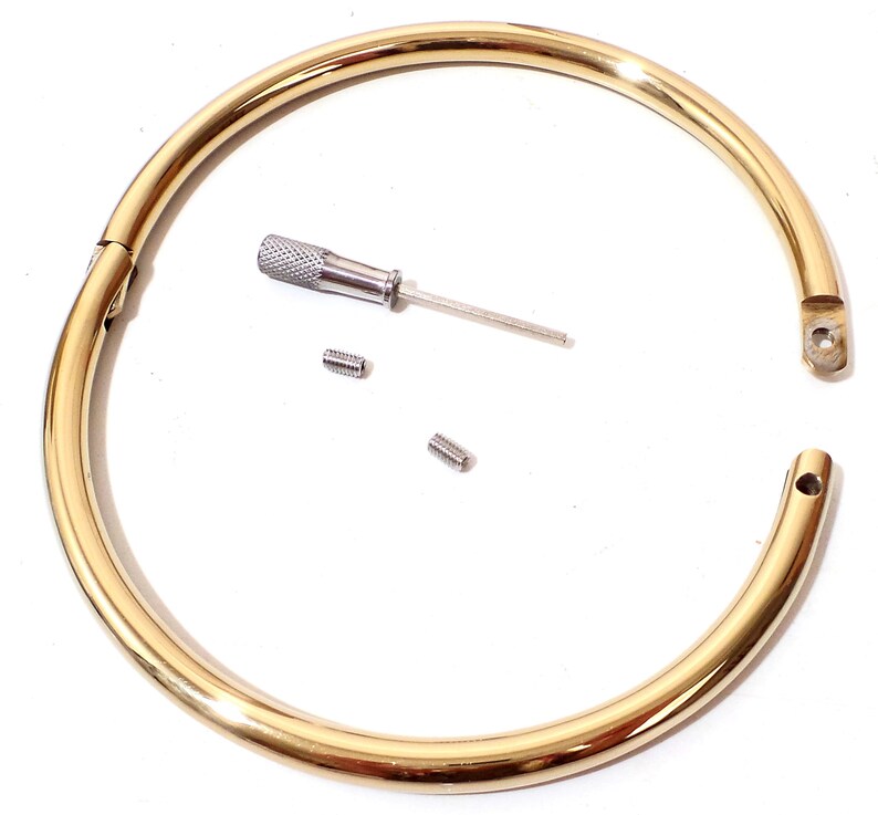 Gold Titanium Locking Eternity Collar Etsy