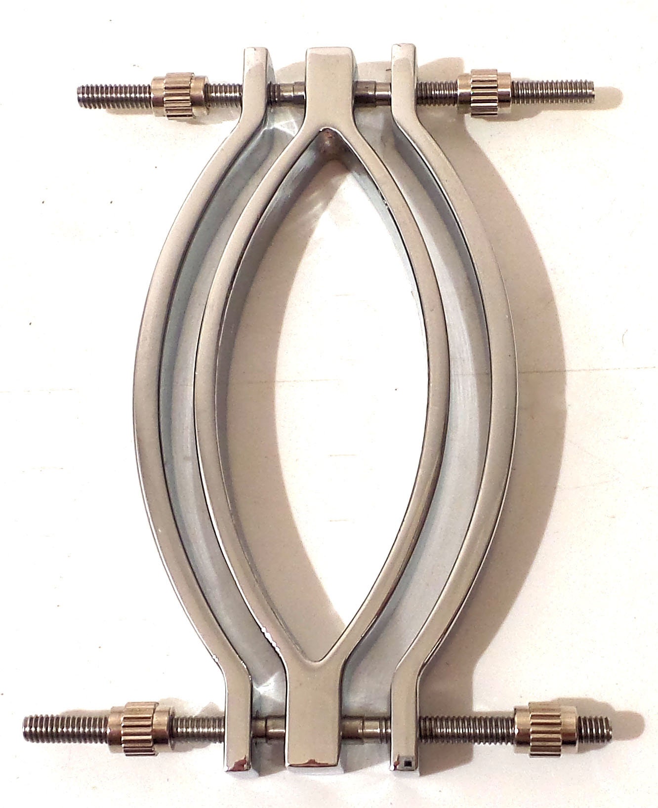 Labia Clamp