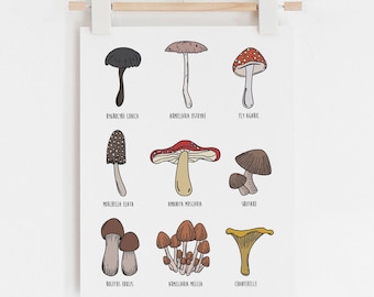 Mushroom Printable, Mushroom Poster, Educational Wall Art, Educational Printable, Homeschool Printables, School Printables, School Artwork