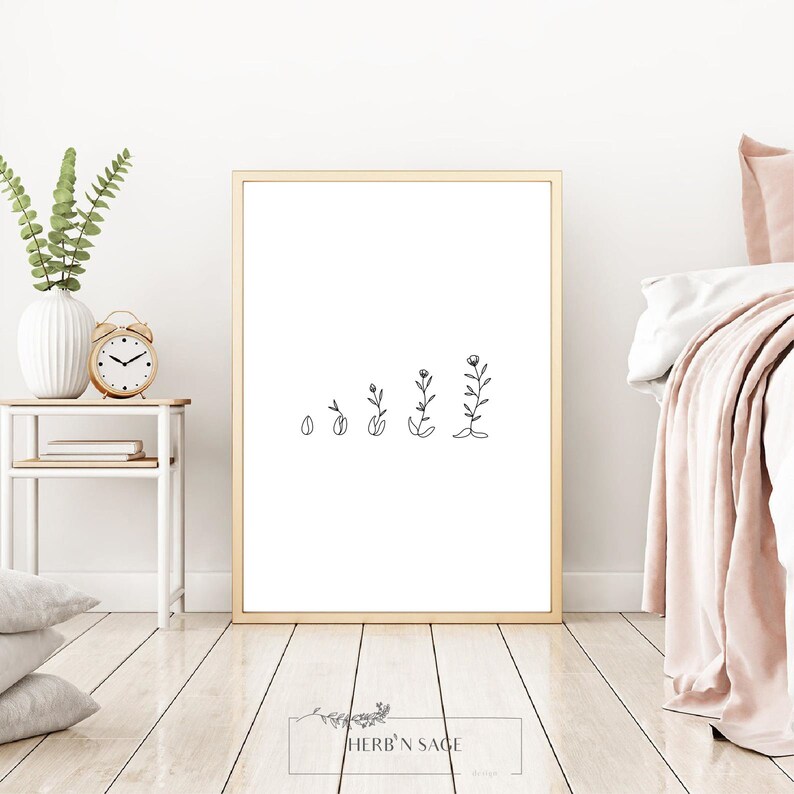Op de afbeelding: Zwart-witte lijntekening van een bloem die uit een zaadje groeit. De print toont de groeifasen van zaadje tot bloem. De print is ingelijst in een gouden lijst en hangt aan een witte muur.