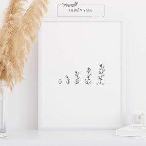 Op de afbeelding: Zwart-witte lijntekening van een bloem die uit een zaadje groeit. De print is ingelijst en hangt aan een witte muur. De tekst "HERB'N SAGE" staat bovenaan de print.