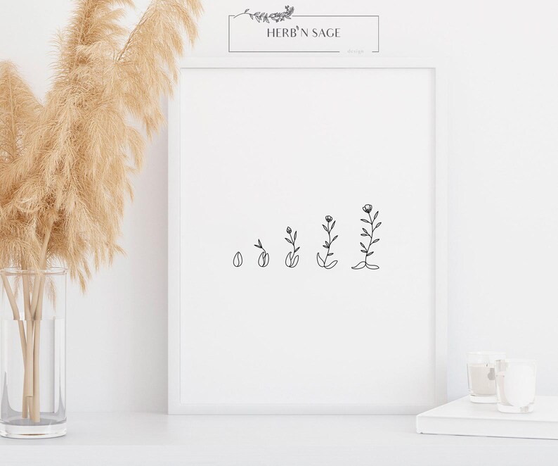 Op de afbeelding: Zwart-witte lijntekening van een bloem die uit een zaadje groeit. De print is ingelijst en hangt aan een witte muur. De tekst "HERB'N SAGE" staat bovenaan de print.