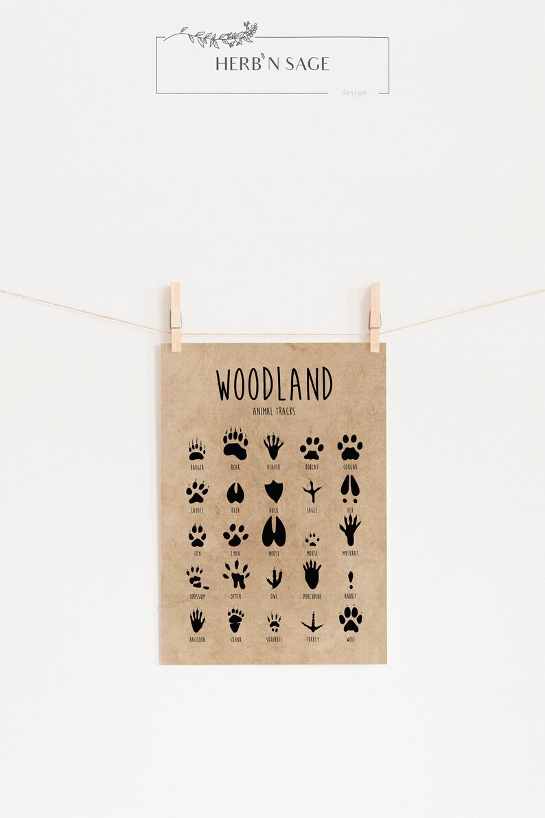 Animal Tracks Print Nursery Decor Woodland Nursery | Etsy