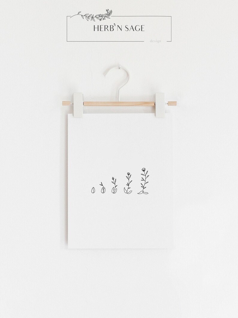 Op de afbeelding: Een zwart-witte lijntekening van een plant die van een zaadje tot een bloem groeit. De tekening is op een witte achtergrond en is ingelijst met een houten lijst.