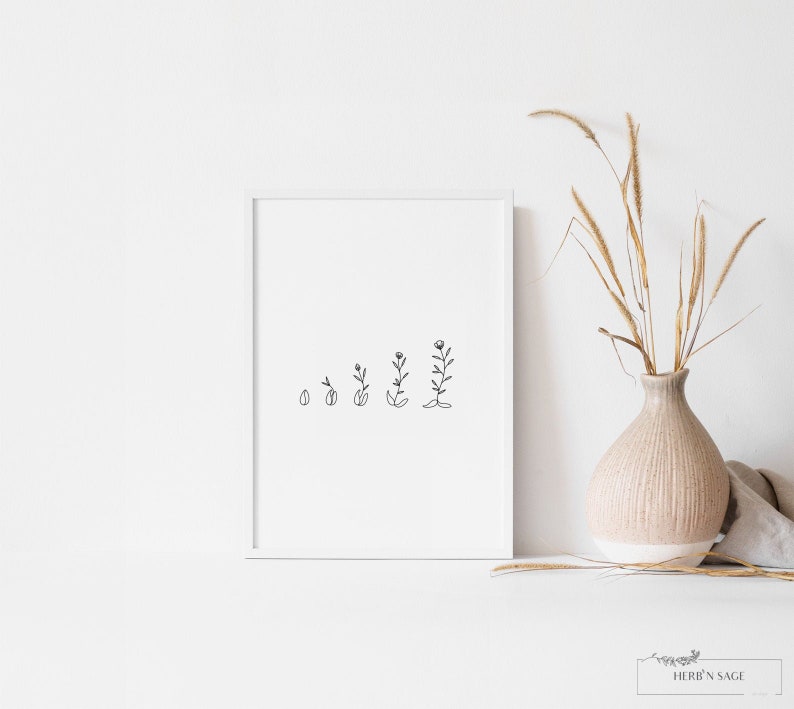 Op de afbeelding: Een zwart-witte lijntekening van een plant die van een zaadje tot een bloem groeit. De tekening is in een wit frame en hangt aan een witte muur.