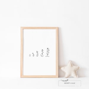 Op de afbeelding: Een zwart-witte lijntekening van een plant die van een zaadje tot een bloem groeit in een houten frame. De afbeelding is op een witte achtergrond.