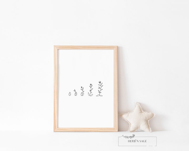 Op de afbeelding: Een zwart-witte lijntekening van een plant die van een zaadje tot een bloem groeit in een houten frame. De afbeelding is op een witte achtergrond.