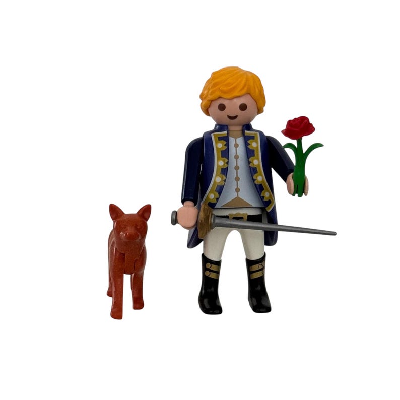 The Little Prince Customized Playmobil Figure for Collectionism - Etsy