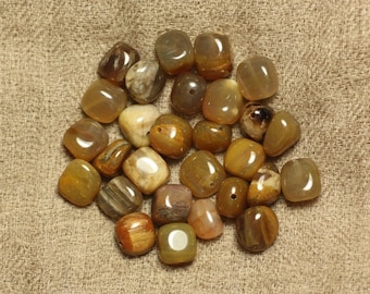 10pc - Perles Pierre - Bois Fossile Nuggets 7-10mm - 4558550020925