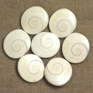Faden ca. 39 cm, 18 Stück – Muschelperlen, St. Lucia, Shiva-Auge, oval, 18–22 mm, weiß-beige, Spirale